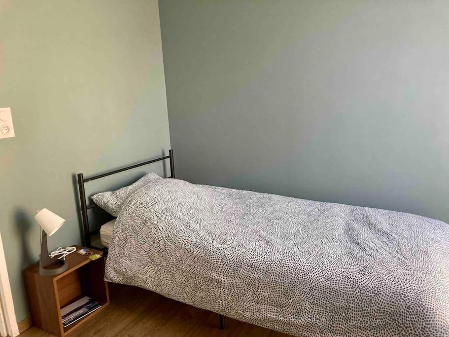 Apartamento Quai Sud - Gare, 100 M2, Parking, Wifi, Superette, Lave Linge Angers Exterior foto